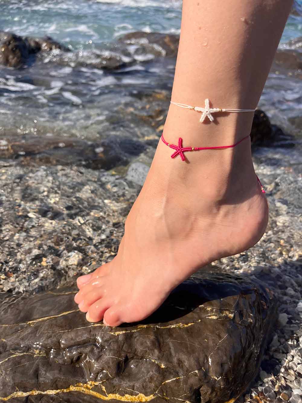 CAVIGLIERA STELLA MARINA