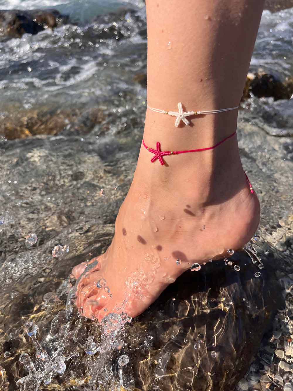 CAVIGLIERA STELLA MARINA