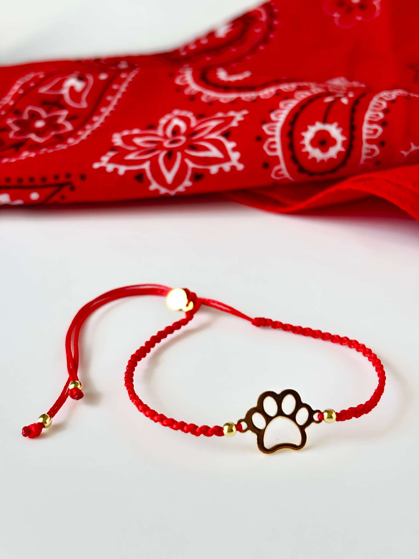 BRACCIALE ZAMPETTA